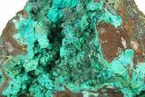 Forest Green Conichalcite on Chrysocolla - Namibia #285063-2